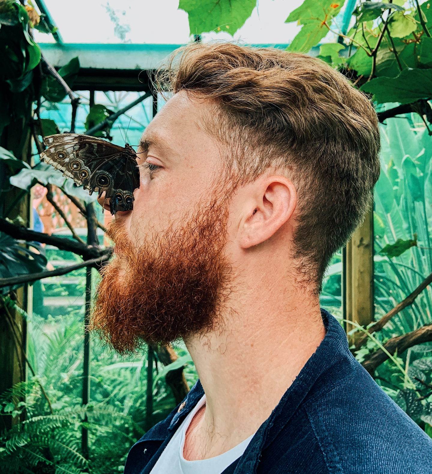 Full Page Background