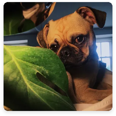 Cooper Image