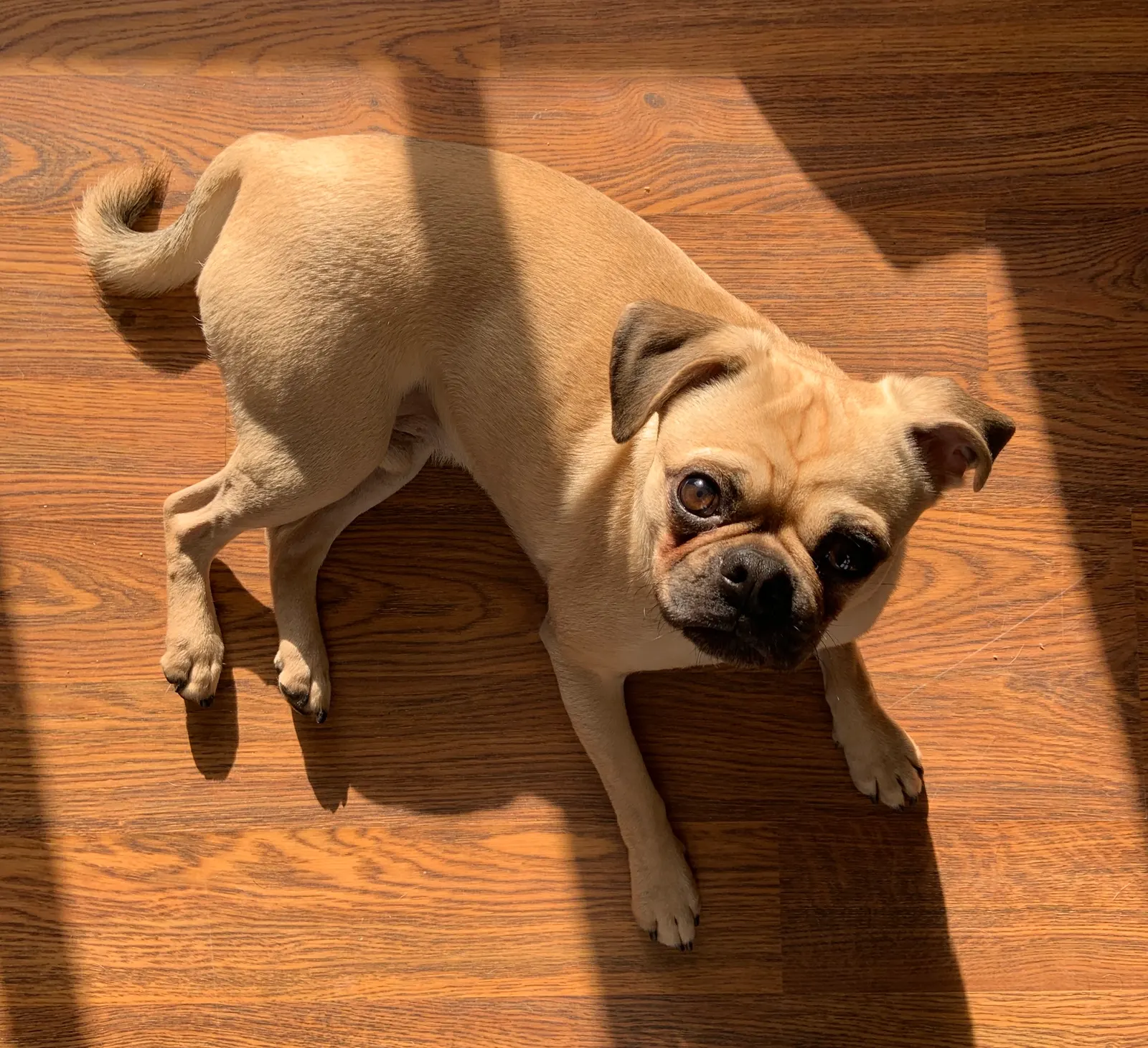 Cooper Image