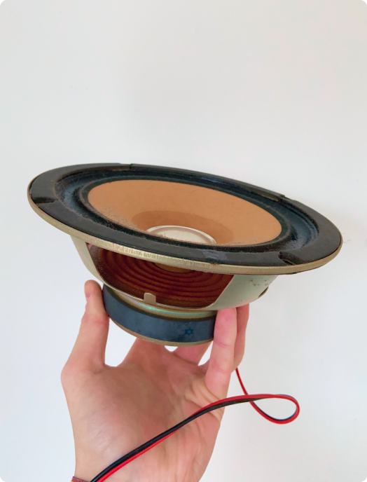 Cymatics Experimental Rig - Speaker