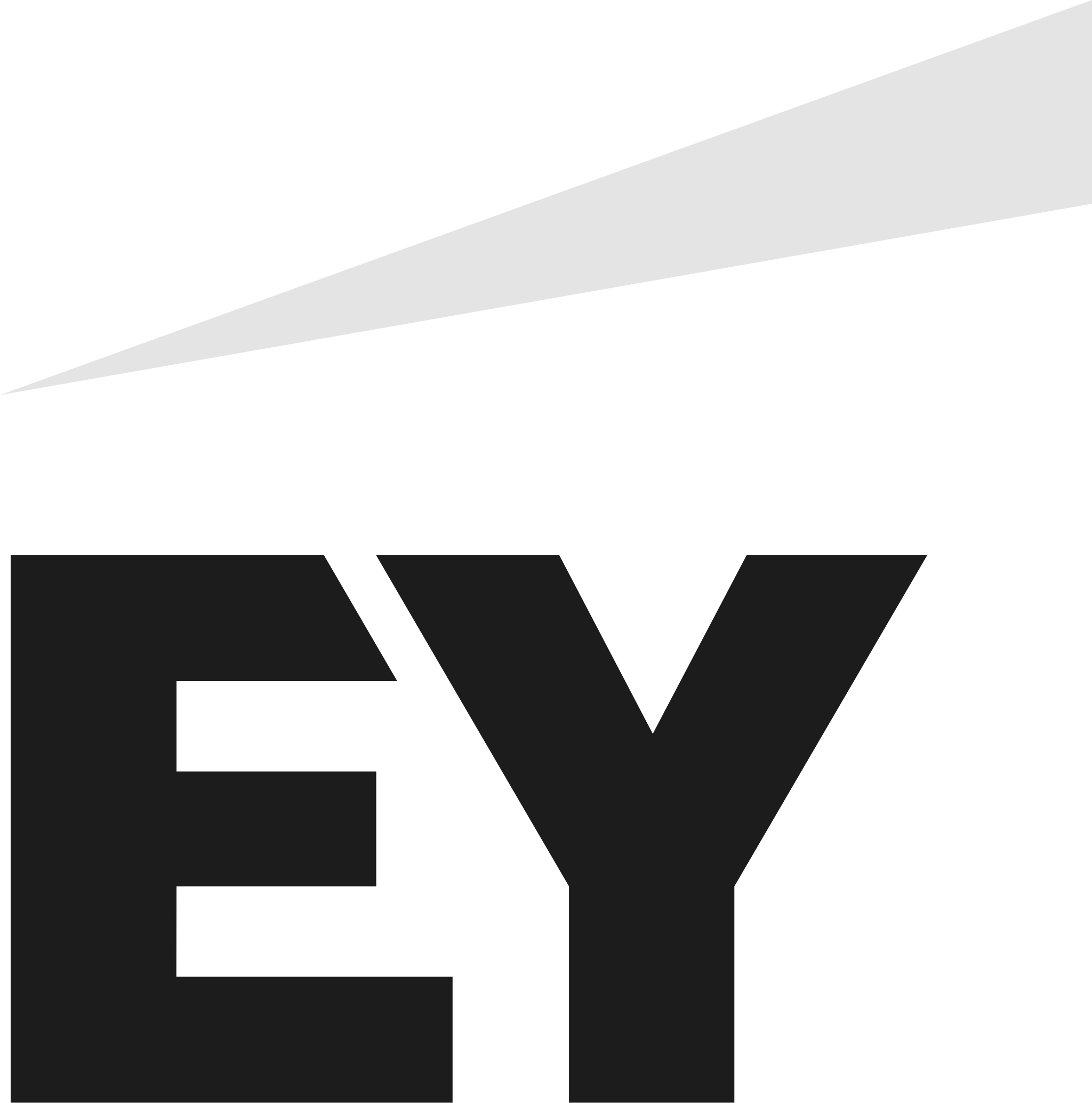 Ernst & Young company logo