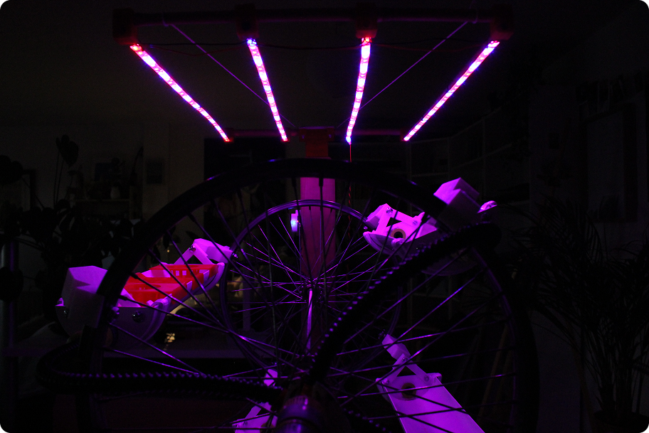 LUCA Trellis Side View