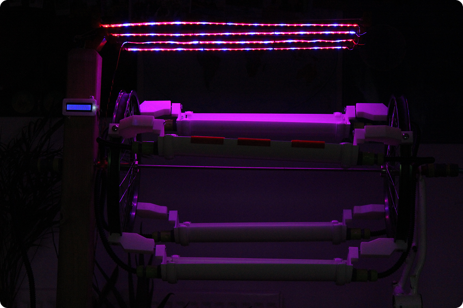 LUCA Trellis Front View