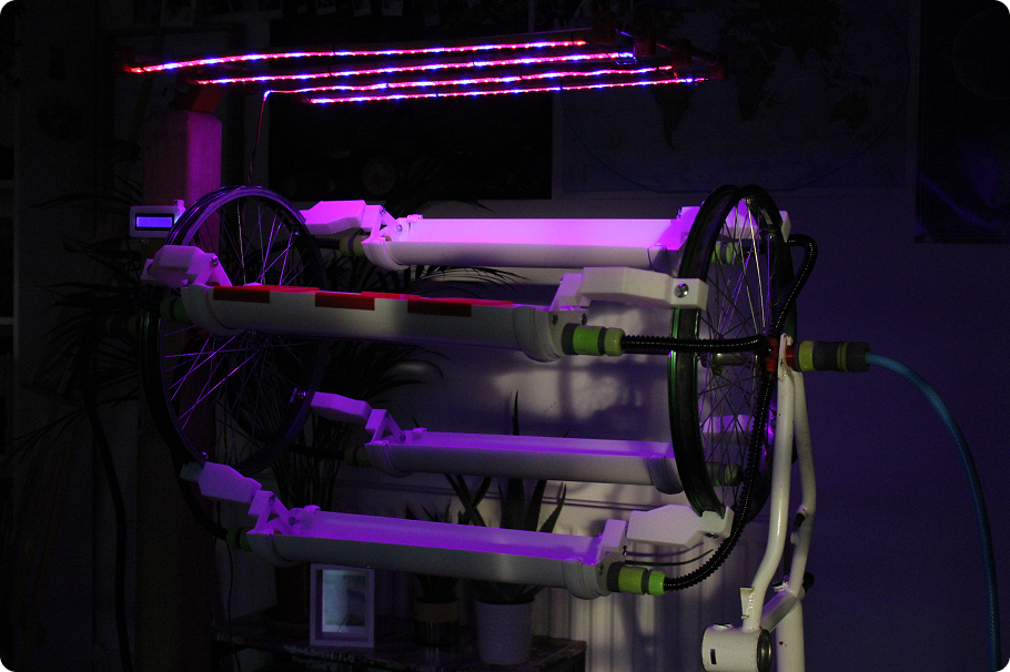 LUCA Trellis Isometric View